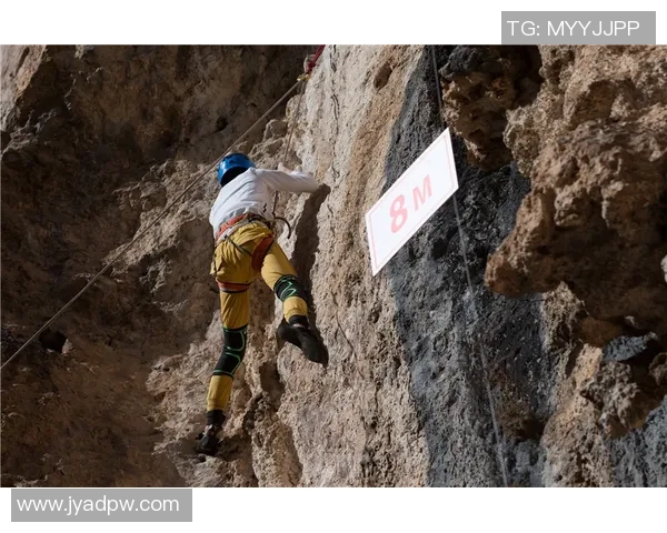 南京攀岩队与杭州攀岩队赛后复盘团队协作的成功与挑战分析