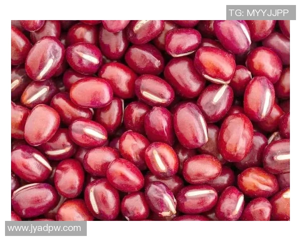 吴强独家分享篮球心得与技巧助你提升球技的全面指南